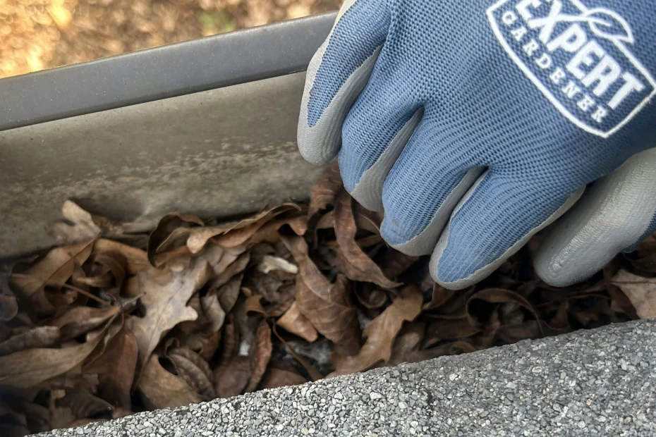 Gutter Cleaning Port Charlotte FL