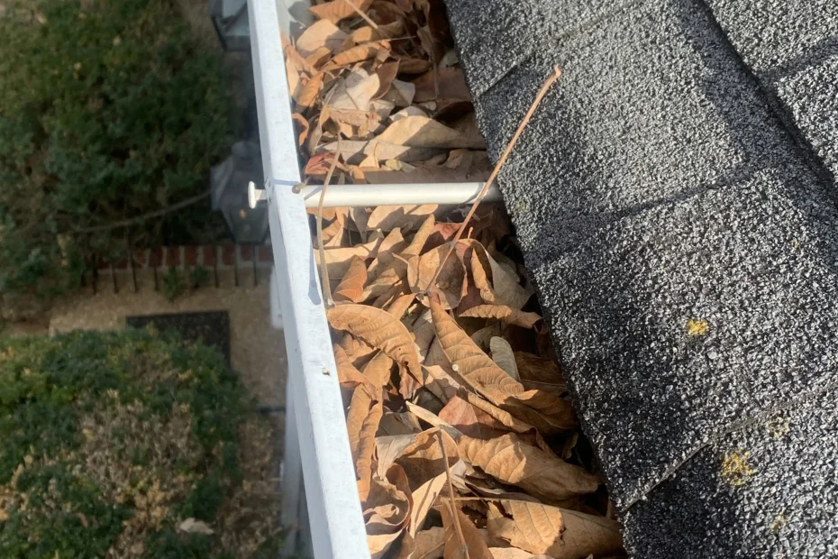 Gutter Cleaning Port Charlotte FL