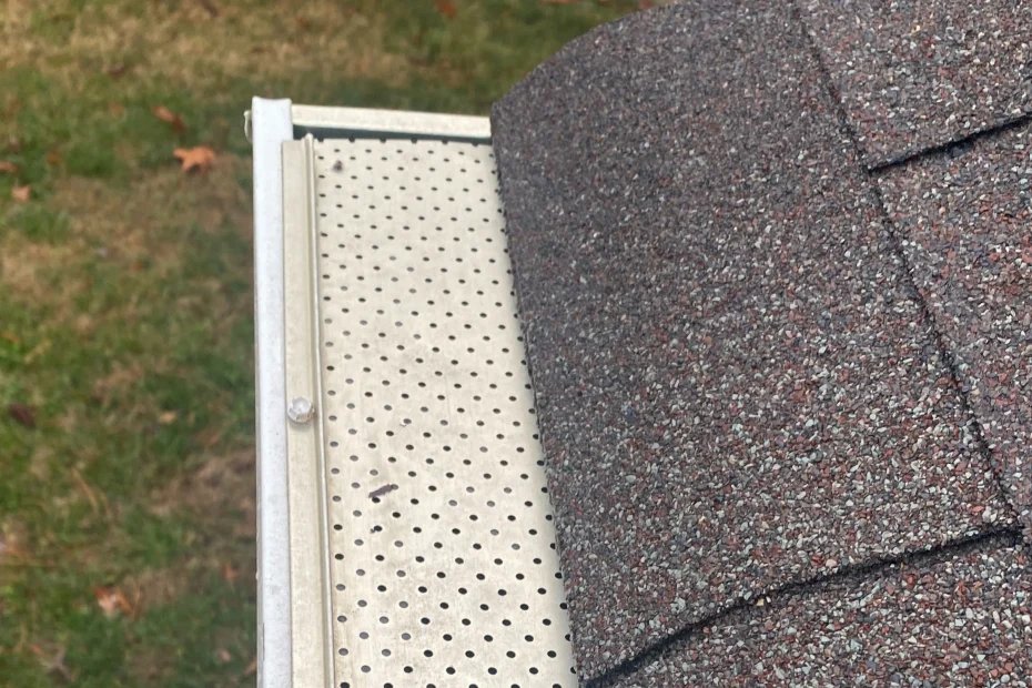 Gutter Cleaning Port Charlotte FL