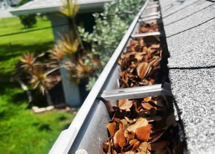 Gutter Cleaning Port Charlotte FL home page